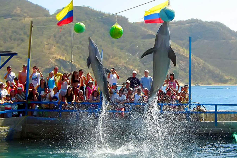 Tour Acuario + lancha