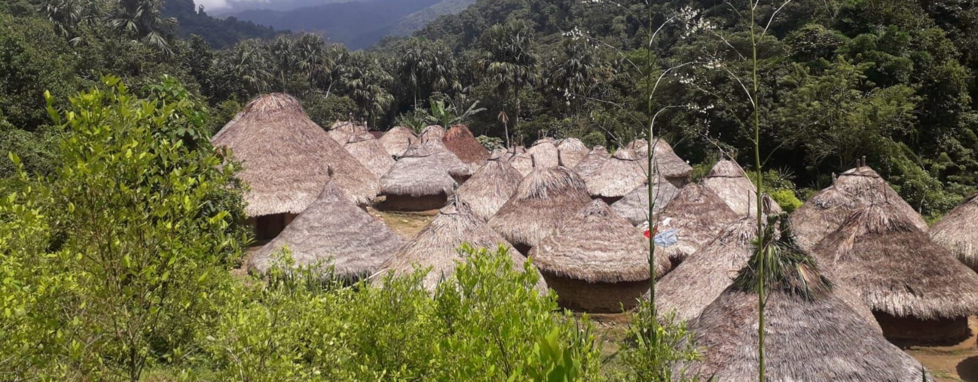 Ciudad Perdida