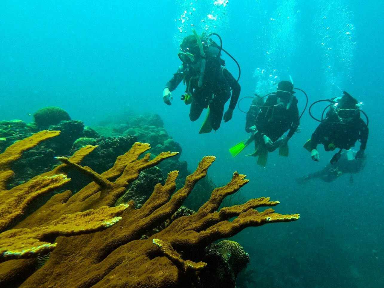 Mini curso de buceo