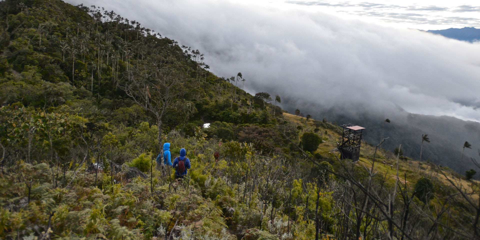 Aventura Sierra Minca