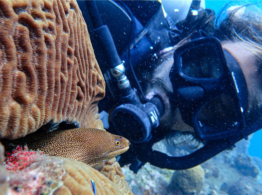 Mini curso de buceo